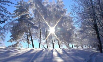 7 и 9 января для Вас прозвучат Рождественские колядки и песнопения